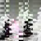 סמינר החוג למדעי המעבדה הרפואית - קו-אבולוציה בין מחלת הכלבת לתן הזהוב