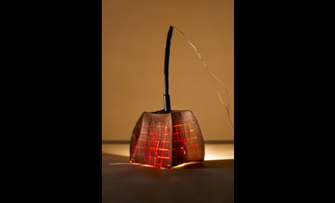 wasa to go | עטר ברוש