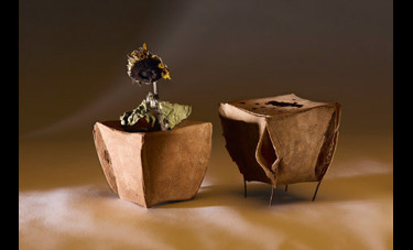 wasa to go | עטר ברוש