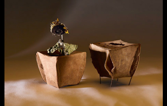 wasa to go | עטר ברוש