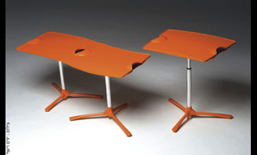 פלסטיק "in the House" | עדי אלפיה