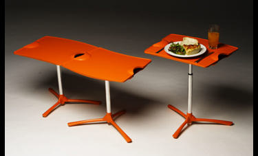 פלסטיק "in the House" | עדי אלפיה