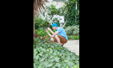 הדגל: משחק אינטראקטיבי רב משתתפים | גילעד אור, רותם פרוחי