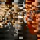 תסמונת העין היבשה – עדכונים ודרכי טיפול