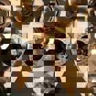 הכנס השנתי באופטומטריה - "רגולציה וחידושים במקצוע"