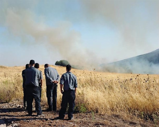 מתוך התערוכה "הס", נועה בן שלום  