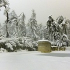 מפגש גלריה תערוכת ״חברים חדשים״ | דורון אלטרץ