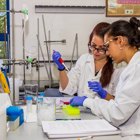 פרופ' פרידלנדר על מגמת העליה של המכללות / ערוץ 7