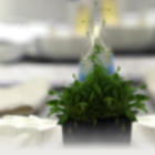 קורס יזמות בקנאביס רפואי / כל העיר