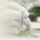 סמינר: "שימוש באנליזה איזוטופית לזיהוי מקורות זיהום סביבתי"