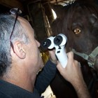 צהרים אקדמי: ריפוי גנטי בכבשים, פרופ' עופרי