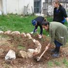 קהילה בונה: הקמת יער מאכל ברח' שטרן