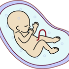 ד"ר גאל דרור על זכרון עוברי / רדיו ירושלים