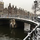 פרחים בקנה? הבחירות באירופה