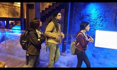 הבריכה הכנענית שאגרה לתוכה את מי המעיין ומשם היו תושבי ירושלים מעלים מים לעירם.