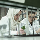 לא תחרות אלא אינטרס משותף