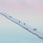 בוגר החוג לתקשורת צילומית זכה בפרס טבע יוקרתי