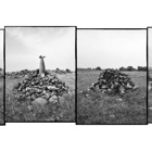 המרצה יובל טבול זכה בפרס בביאנלה בפירנצה