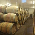 סיור לימודי במסגרת החוג לניהול ארגוני שירות במסלול תיירות