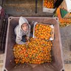 החברה הישראלית - מפגש ופאנל לדיון