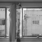 תערוכה: טבע דומם חולף - מאת אריאל ינאי