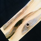 הגשות הקורס "עץ בין תרבויות"