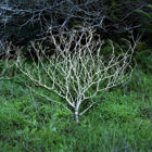 פתיחת תערוכה ושיח גלריה - טל בן אבי, Post Encounters