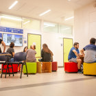 הסנונית שעדיין לא מבשרת את בוא האביב