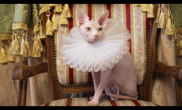 Victorian Rebels | הילה חן