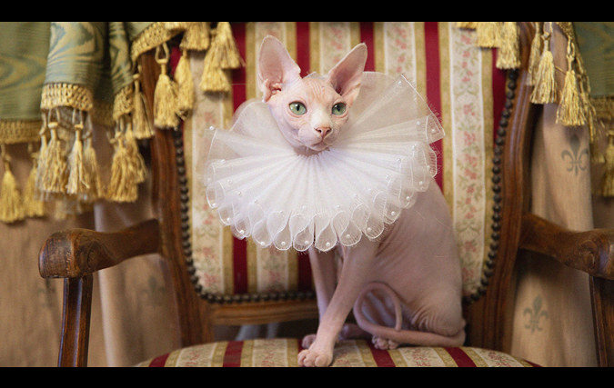 Victorian Rebels | הילה חן