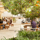 שביתת הסגל האקדמי הבכיר במכללה