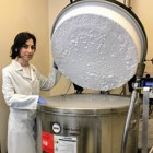 סיפור התמחות- מיטל לוינסקי