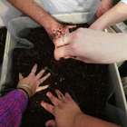 סטודנטים מתנדבים בגינה הטיפולית של "קרן אור"