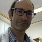 הרצאה: רשתית בלי דמעות - אבחון מחלות רשתית ללא פאניקה