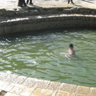 מחקרן של נועה שנברגר ורננה בן-דוד על התייבשות מעיין ליפתא