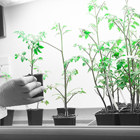 יום סמינרים והצגת פרויקטים - החוג למדעי איכות הסביבה