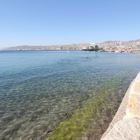 אסף אדמון על קמפיין מניעת זיהום בחופי אילת