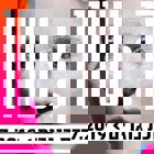 ערך: שיוויון - תערוכת בוגרים של החוג לתקשורת צילומית