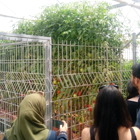 סיור בחברת הזרעים הישראלית