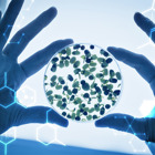 3 שנים ביום אחד - יום פתוח למתעניינים בלימודים