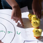 תערוכת סטודנטים - קורס להפרעות היגוי