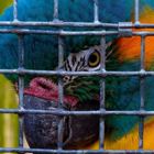 יום עיון: עבודה עם אסירים