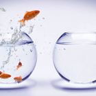 כנס החוג לניהול ארגוני שירות - חדשנות בשירות - לאן?