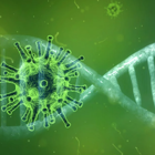 אילו פרצה הקורונה בשנת 1991