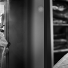 חינוך רפואי וערבות הדדית-השטיח את עקומת הבורות