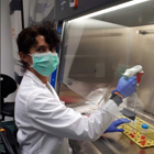 מחקר חדש מסייע להבנת התנהגות נגיף הקורונה