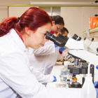 תואר ראשון בביוטכנולוגיה פותח את הדלת לקריירה באחת התעשיות הכי רווחיות בעולם