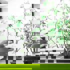 יום סמינרים והצגת פרויקטים של החוג למדעי איכות הסביבה