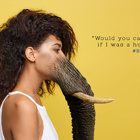 #SaveNature - פרויקט להעלאת מודעות לשמירה על בעלי חיים