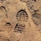 מחקר חדש של יורם יקותיאלי בנושא חיזוק תוקף ראיות בזירות משטרתיות התפרסם לאחרונה